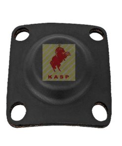 20545485 DIAPHRAGM