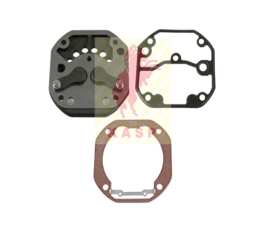 441 130 0220 REPAIR KIT VALVE PLATE