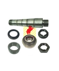20751021 KING PIN KIT