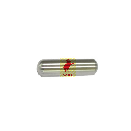 1696446 THRUST PIN Z-CAM