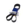 22275088 V-RIBBED BELT
