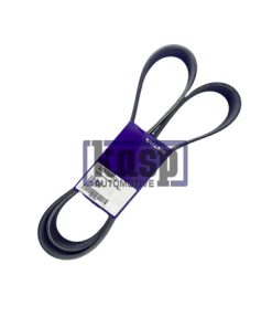 22670503 V-RIBBED BELT